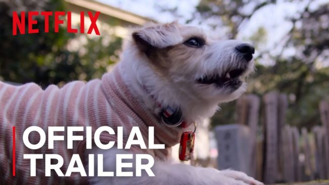 deze-nieuwe-netflix-serie-gaat-je-laten-huilen-dogs-bekijk-de